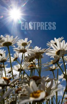 EA337502, Eastpress , Porvoo, Finland